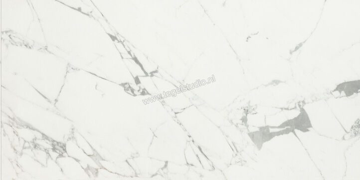  Ceramiche Caesar Anima Statuario Venato 30x60 cm Vloertegel / Wandtegel Mat Vlak Touch Plus AIBF CAE | 354544