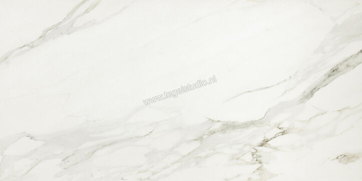  Ceramiche Caesar Anima Calacatta Oro 30x60 cm Vloertegel / Wandtegel Mat Vlak Touch Plus AIBE CAE | 354556