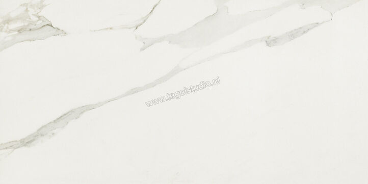  Ceramiche Caesar Anima Calacatta Oro 30x60 cm Vloertegel / Wandtegel Mat Vlak Touch Plus AIBE CAE | 354559