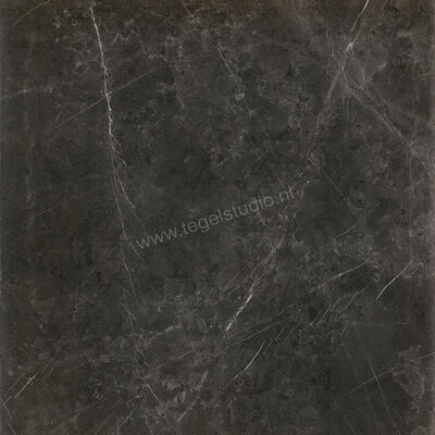  Ceramiche Caesar Anima Graphite 60x60 cm Vloertegel / Wandtegel Mat Vlak Touch Plus AIBD CAE | 354577
