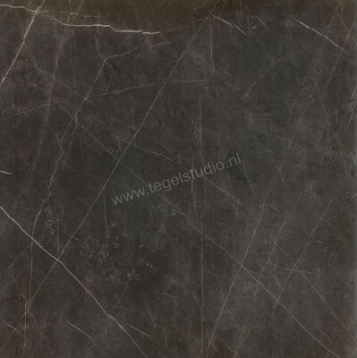 Ceramiche Caesar Anima Graphite 60x60 cm Vloertegel / Wandtegel Mat Vlak Touch Plus AIBD CAE | 354580