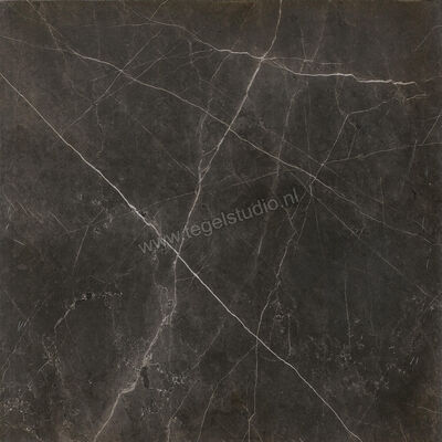  Ceramiche Caesar Anima Graphite 60x60 cm Vloertegel / Wandtegel Mat Vlak Touch Plus AIBD CAE | 354583