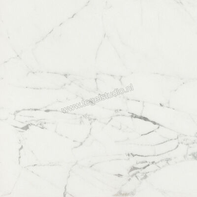  Ceramiche Caesar Anima Statuario Venato 60x60 cm Vloertegel / Wandtegel Mat Vlak Touch Plus AIBC CAE | 354586