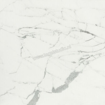  Ceramiche Caesar Anima Statuario Venato 60x60 cm Vloertegel / Wandtegel Mat Vlak Touch Plus AIBC CAE | 354589