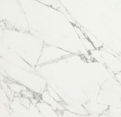  Ceramiche Caesar Anima Statuario Venato 60x60 cm Vloertegel / Wandtegel Mat Vlak Touch Plus AIBC CAE | 354592