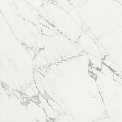  Ceramiche Caesar Anima Statuario Venato 60x60 cm Vloertegel / Wandtegel Mat Vlak Touch Plus AIBC CAE | 354595