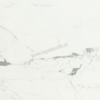  Ceramiche Caesar Anima Statuario Venato 60x60 cm Vloertegel / Wandtegel Mat Vlak Touch Plus AIBC CAE | 354598