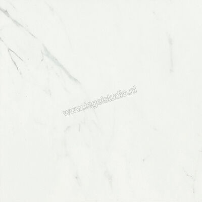  Ceramiche Caesar Anima Statuario Venato 60x60 cm Vloertegel / Wandtegel Mat Vlak Touch Plus AIBC CAE | 354601