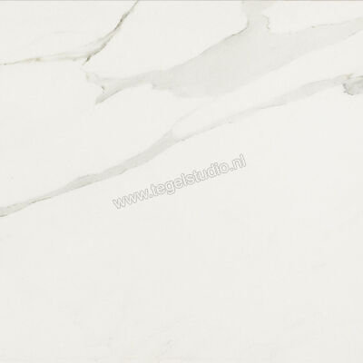  Ceramiche Caesar Anima Calacatta Oro 60x60 cm Vloertegel / Wandtegel Mat Vlak Touch Plus AIBB CAE | 354607