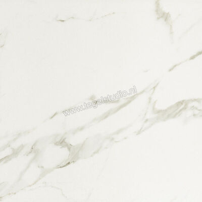  Ceramiche Caesar Anima Calacatta Oro 60x60 cm Vloertegel / Wandtegel Mat Vlak Touch Plus AIBB CAE | 354610