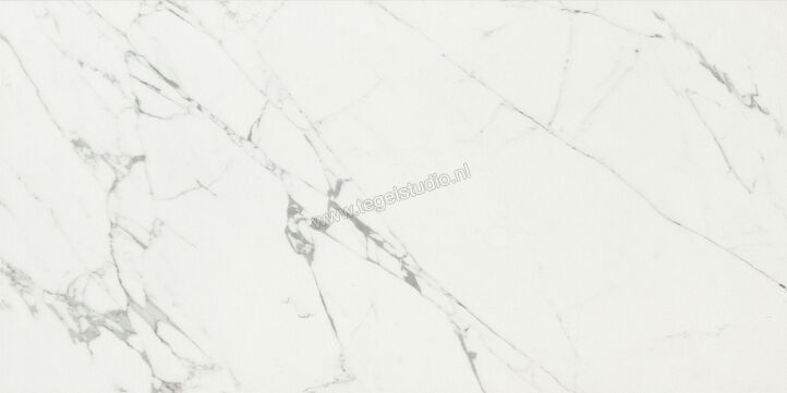  Ceramiche Caesar Anima Statuario Venato 60x120 cm Vloertegel / Wandtegel Mat Vlak Touch Plus AIAZ CAE | 354631