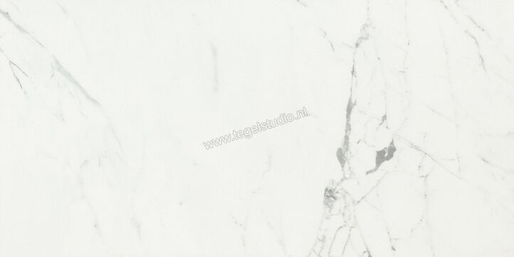  Ceramiche Caesar Anima Statuario Venato 60x120 cm Vloertegel / Wandtegel Mat Vlak Touch Plus AIAZ CAE | 354637