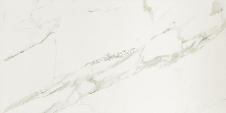  Ceramiche Caesar Anima Calacatta Oro 60x120 cm Vloertegel / Wandtegel Mat Vlak Touch Plus AIAY CAE | 354646