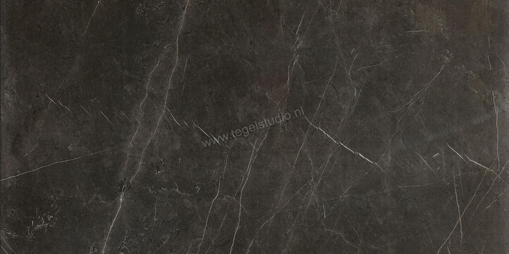  Ceramiche Caesar Anima Graphite 60x120 cm Vloertegel / Wandtegel Mat Vlak Touch Plus AIA0 CAE | 354658
