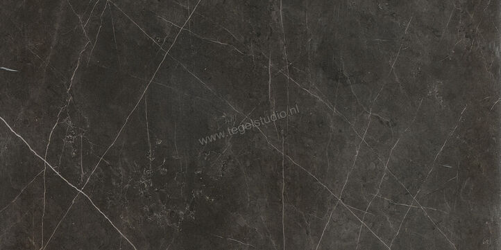  Ceramiche Caesar Anima Graphite 60x120 cm Vloertegel / Wandtegel Mat Vlak Touch Plus AIA0 CAE | 354664