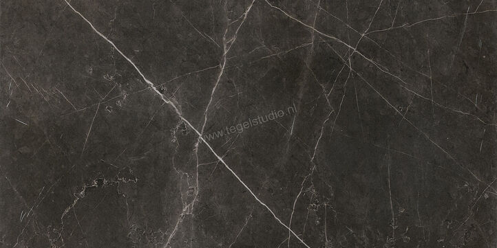  Ceramiche Caesar Anima Graphite 60x120 cm Vloertegel / Wandtegel Mat Vlak Touch Plus AIA0 CAE | 354667
