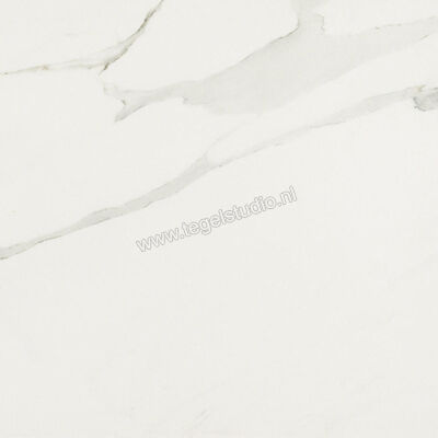  Ceramiche Caesar Anima Calacatta Oro 120x120 cm Vloertegel / Wandtegel Glanzend Vlak Lucidato ACYV CAE | 354703