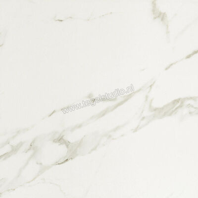  Ceramiche Caesar Anima Calacatta Oro 120x120 cm Vloertegel / Wandtegel Glanzend Vlak Lucidato ACYV CAE | 354706