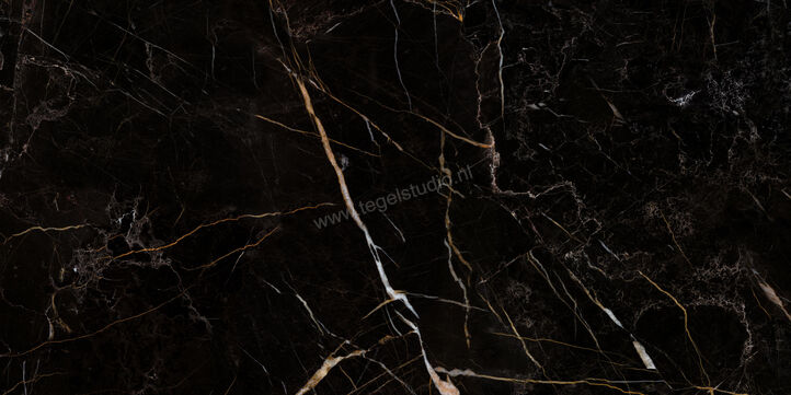  Ceramiche Caesar Anima Nero Atlante 60x120 cm Vloertegel / Wandtegel Glanzend Vlak Lucidato ADNV CAE | 354724