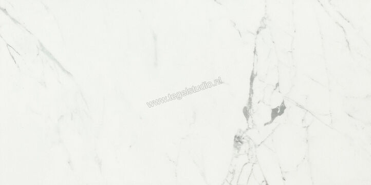  Ceramiche Caesar Anima Statuario Venato 60x120 cm Vloertegel / Wandtegel Glanzend Vlak Lucidato ACST CAE | 354790