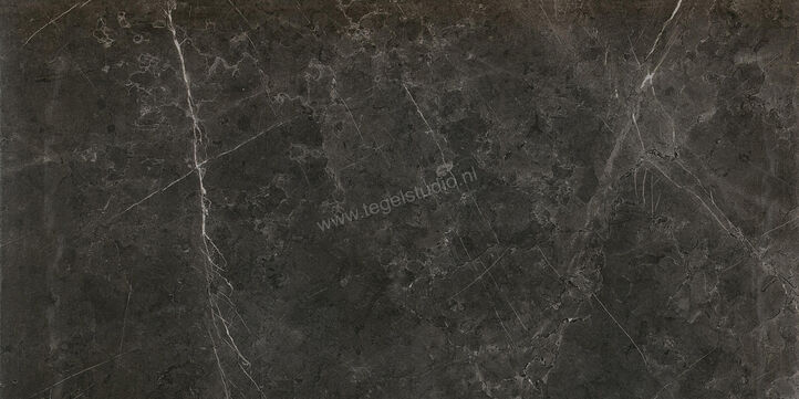  Ceramiche Caesar Anima Graphite 60x120 cm Vloertegel / Wandtegel Glanzend Vlak Lucidato ACSQ CAE | 354793