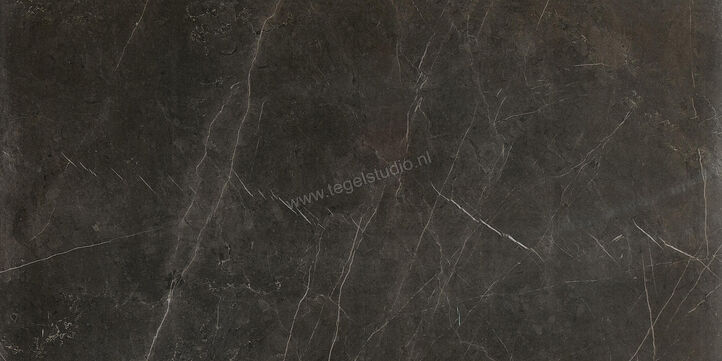  Ceramiche Caesar Anima Graphite 60x120 cm Vloertegel / Wandtegel Glanzend Vlak Lucidato ACSQ CAE | 354796