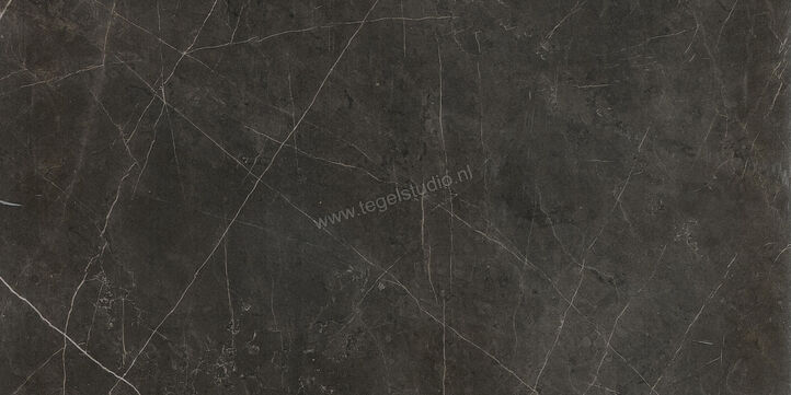  Ceramiche Caesar Anima Graphite 60x120 cm Vloertegel / Wandtegel Glanzend Vlak Lucidato ACSQ CAE | 354799