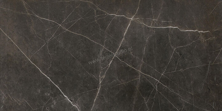  Ceramiche Caesar Anima Graphite 60x120 cm Vloertegel / Wandtegel Glanzend Vlak Lucidato ACSQ CAE | 354802