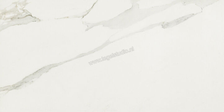  Ceramiche Caesar Anima Calacatta Oro 60x120 cm Vloertegel / Wandtegel Glanzend Vlak Lucidato ACSO CAE | 354808