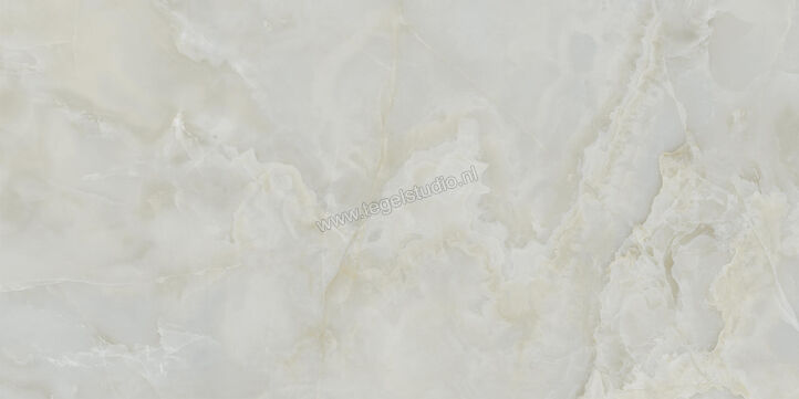  Ceramiche Caesar Anima Ever Royal Onyx 60x120 cm Vloertegel / Wandtegel Glanzend Vlak Lucidato AFBO CAE | 354844