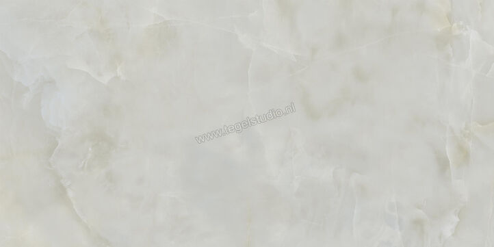  Ceramiche Caesar Anima Ever Royal Onyx 60x120 cm Vloertegel / Wandtegel Glanzend Vlak Lucidato AFBO CAE | 354847