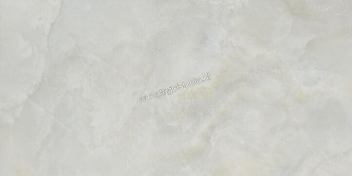  Ceramiche Caesar Anima Ever Royal Onyx 60x120 cm Vloertegel / Wandtegel Glanzend Vlak Lucidato AFBO CAE | 354850