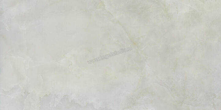  Ceramiche Caesar Anima Ever Royal Onyx 60x120 cm Vloertegel / Wandtegel Glanzend Vlak Lucidato AFBO CAE | 354853