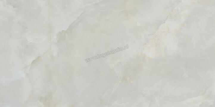  Ceramiche Caesar Anima Ever Royal Onyx 60x120 cm Vloertegel / Wandtegel Glanzend Vlak Lucidato AFBO CAE | 354862