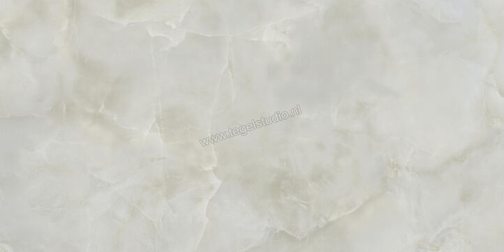  Ceramiche Caesar Anima Ever Royal Onyx 60x120 cm Vloertegel / Wandtegel Glanzend Vlak Lucidato AFBO CAE | 354865