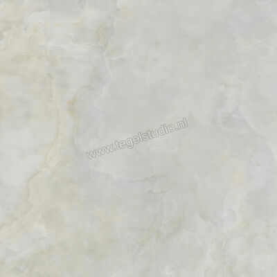  Ceramiche Caesar Anima Ever Royal Onyx 120x120 cm Vloertegel / Wandtegel Glanzend Vlak Lucidato AFBI CAE | 354871