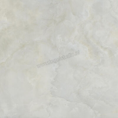  Ceramiche Caesar Anima Ever Royal Onyx 120x120 cm Vloertegel / Wandtegel Mat Vlak Touch Plus AIAF CAE | 354874