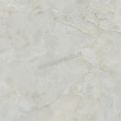 Ceramiche Caesar Anima Ever Royal Onyx 120x120 cm Vloertegel / Wandtegel Glanzend Vlak Lucidato AFBI CAE | 354877