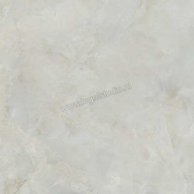  Ceramiche Caesar Anima Ever Royal Onyx 120x120 cm Vloertegel / Wandtegel Glanzend Vlak Lucidato AFBI CAE | 354880