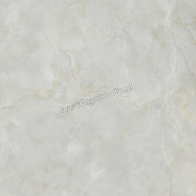  Ceramiche Caesar Anima Ever Royal Onyx 120x120 cm Vloertegel / Wandtegel Glanzend Vlak Lucidato AFBI CAE | 354883