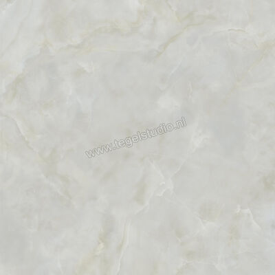  Ceramiche Caesar Anima Ever Royal Onyx 120x120 cm Vloertegel / Wandtegel Glanzend Vlak Lucidato AFBI CAE | 354886