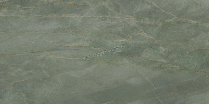  Ceramiche Caesar Anima Ever Sage Green 60x120 cm Vloertegel / Wandtegel Glanzend Vlak Lucidato AFBP CAE | 354892