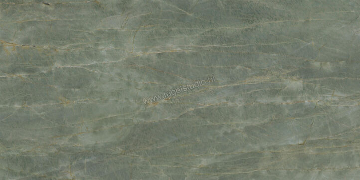  Ceramiche Caesar Anima Ever Sage Green 60x120 cm Vloertegel / Wandtegel Glanzend Vlak Lucidato AFBP CAE | 354895