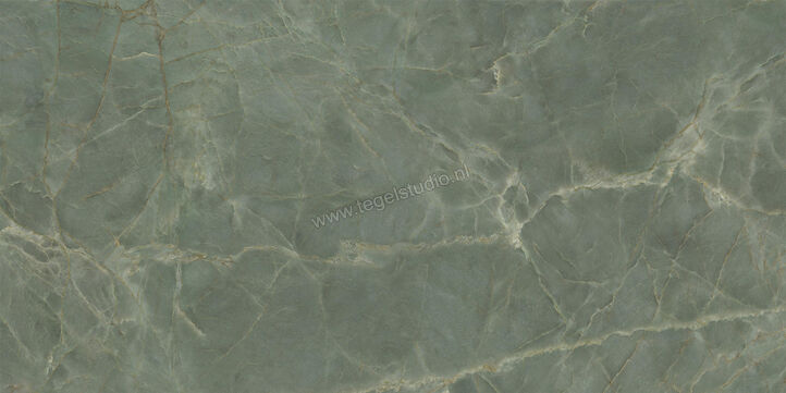  Ceramiche Caesar Anima Ever Sage Green 60x120 cm Vloertegel / Wandtegel Glanzend Vlak Lucidato AFBP CAE | 354901