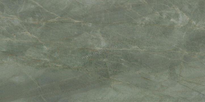  Ceramiche Caesar Anima Ever Sage Green 60x120 cm Vloertegel / Wandtegel Glanzend Vlak Lucidato AFBP CAE | 354904