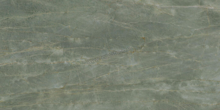  Ceramiche Caesar Anima Ever Sage Green 60x120 cm Vloertegel / Wandtegel Glanzend Vlak Lucidato AFBP CAE | 354907