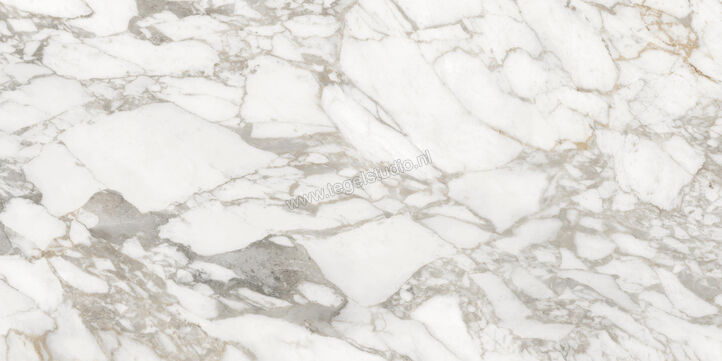  Ceramiche Caesar Anima Ever Luxury Arabesque 60x120 cm Vloertegel / Wandtegel Glanzend Vlak Lucidato AFBN CAE | 354940