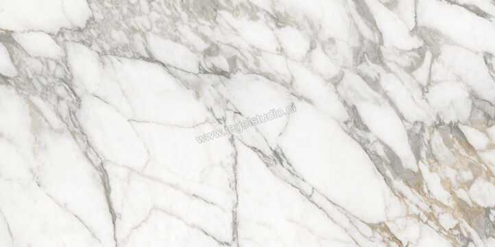  Ceramiche Caesar Anima Ever Luxury Arabesque 60x120 cm Vloertegel / Wandtegel Glanzend Vlak Lucidato AFBN CAE | 354946