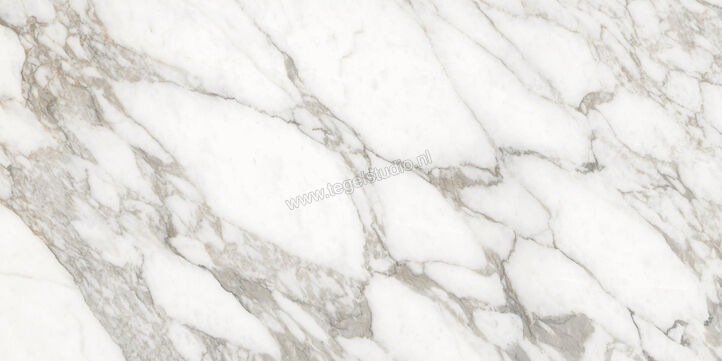  Ceramiche Caesar Anima Ever Luxury Arabesque 60x120 cm Vloertegel / Wandtegel Glanzend Vlak Lucidato AFBN CAE | 354949