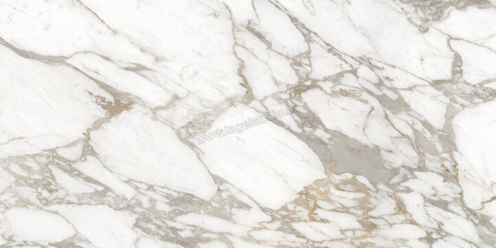  Ceramiche Caesar Anima Ever Luxury Arabesque 60x120 cm Vloertegel / Wandtegel Glanzend Vlak Lucidato AFBN CAE | 354952